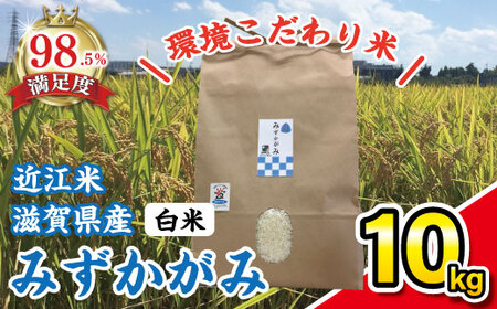 令和7年産 みずかがみ 白米 環境こだわり米 10kg 【K074W】 近江米
