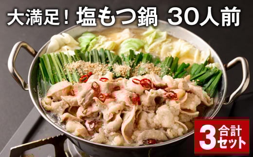 大満足！塩もつ鍋 30人前 計3セット モツ鍋 もつ鍋 セット