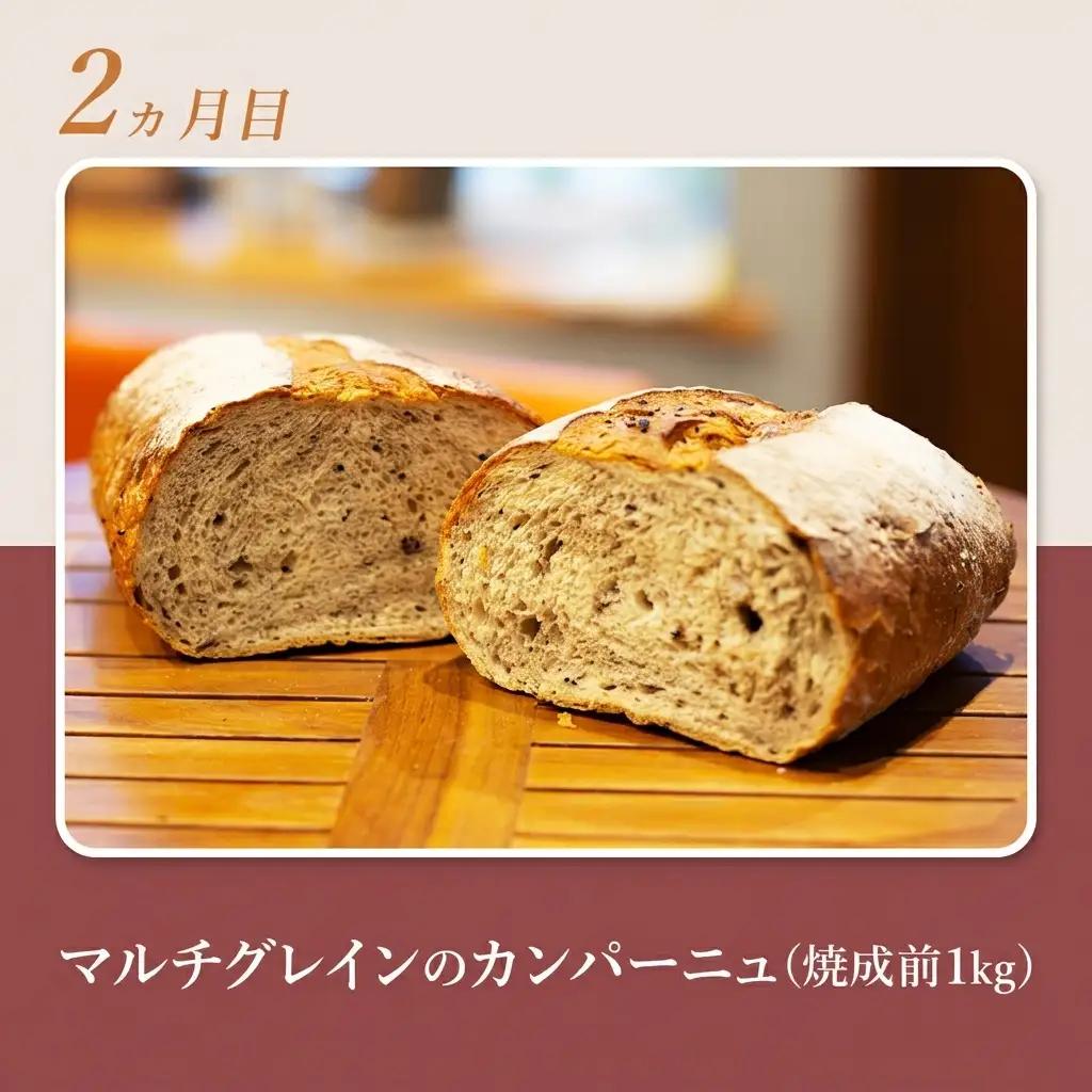 ハード系パンセット ライ麦パン カンパーニュ【 4種】【焼成前計3.9kg】【冷凍】【定期便 4ヶ月】
