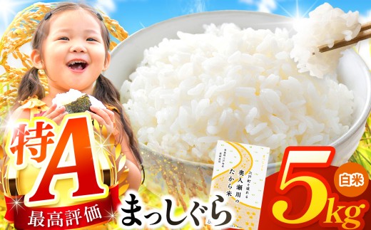 まっしぐら 白米5kg | 米 おこめ お米 こめ コメ ごはん ご飯 白飯 ゴハン 白米 精米 特産 ブランド米 ライス 2025年産 令和7年度産 仕送り 国産 産地直送 定期 あっさり さっぱり