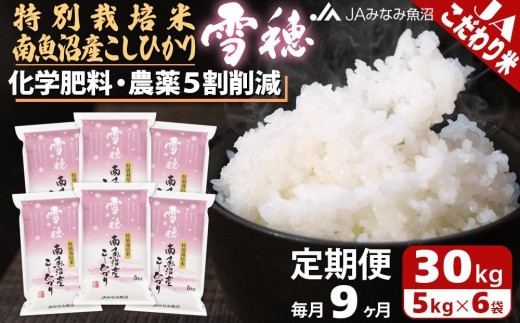 【JAみなみ魚沼定期便】特別栽培米南魚沼産こしひかり「雪穂」（30kg×全9回） ≪精米 農薬5割削減 精米HACCP認定工場 特A獲得日本一産地 高品質精米 もっちり甘い 南魚沼産コシヒカリ 定期便 コシヒカリ こしひかり 精米 銘柄米≫