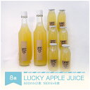 【ふるさと納税】りんごジュース リンゴ 100% LUCKY APPLE JUICE 600ml×2本 180ml×6本 山形県村山市 em-rjxxx8 送料無料