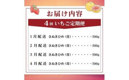 いちごの定期便 4回 Hコース フルーツ 定期便