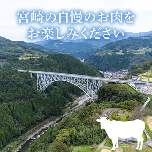 宮崎牛 焼肉2種(ウデ・バラ)(合計1kg・各500g×2)【MI007】【(株)ミヤチク宮崎加工センター】