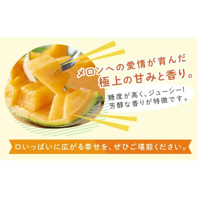 【2026年夏発送】富良野 赤肉 メロン 2玉入 計4kg前後 大玉 北海道