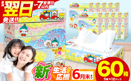 遊びにおいでよもおか！真岡市オリジナルBOXティッシュ60箱（1箱300枚150組）