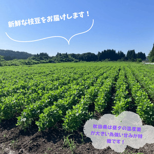 【令和７年産先行受付】枝豆１kg　秋田県井川町産　※８月中旬以降順次発送