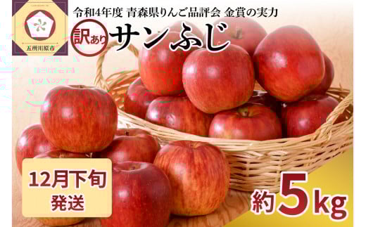 【2025年12月下旬発送】【訳あり】りんご 青森産 約5kg サンふじ