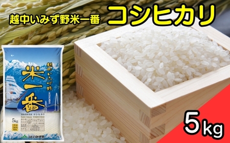【R7年産米】越中いみず野米一番 5kg（コシヒカリ）｜ お米 令和7年産米 ブランド米 銘柄米 等級検査 1等米 こめ 送風乾燥 色彩選別 低温貯蔵 白米 小分け 富山県産 射水市産 ※2025年9月中旬～2026年8月下旬頃に順次発送予定