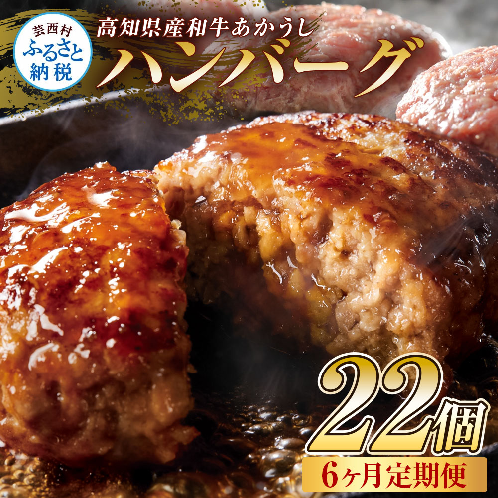 t216cdm　 創業50年老舗レストランの幻の和牛あかうしハンバーグ120g×22ケ 6ヶ月定期便 土佐あかうし 美鮮豚 牛肉 高級 ハンバーグ 冷凍 美味しい 肉汁ハンバーグ 焼くだけ 小分け 個包装 高級 国産 定期便