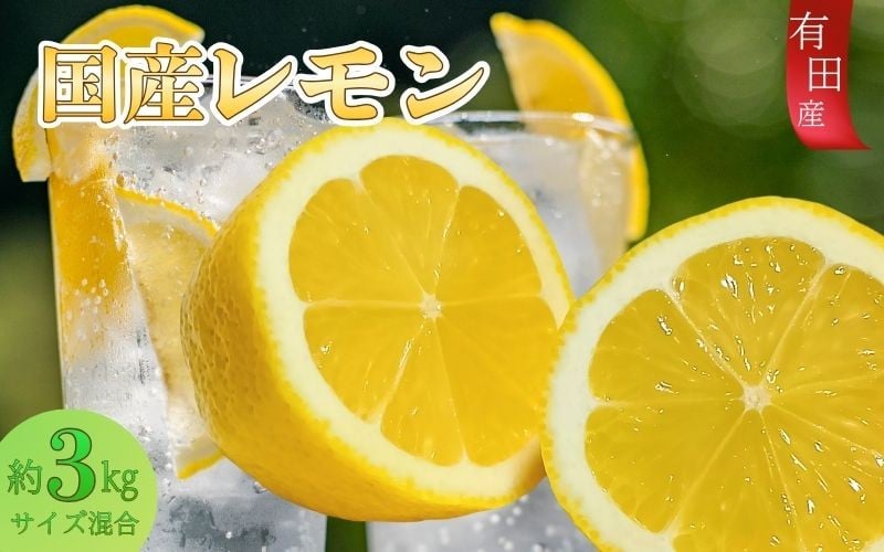 
                  有田産の安心国産レモン約3kg （サイズ混合）【2025年10月中旬～2026年4月下旬頃より順次発送】/檸檬 果物 フルーツ 和歌山【TM61】【TM92188-tec943A】
                