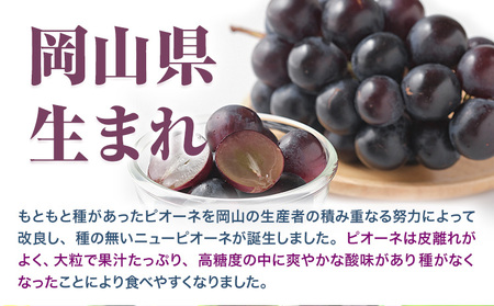  ニューピオーネ 2房【配送不可地域あり】