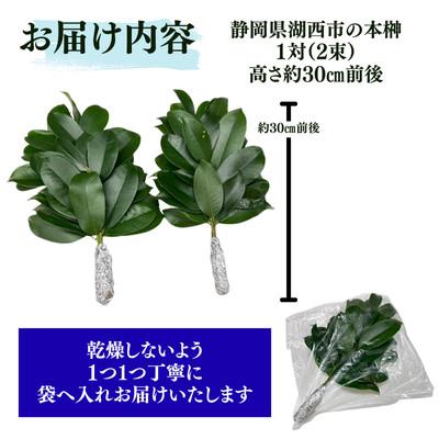 ふるさと納税 湖西市 静岡県産湖西市　出世榊　本榊　純国産　さかき1対(2束)※1日交換に間に合うように配送 |  | 01