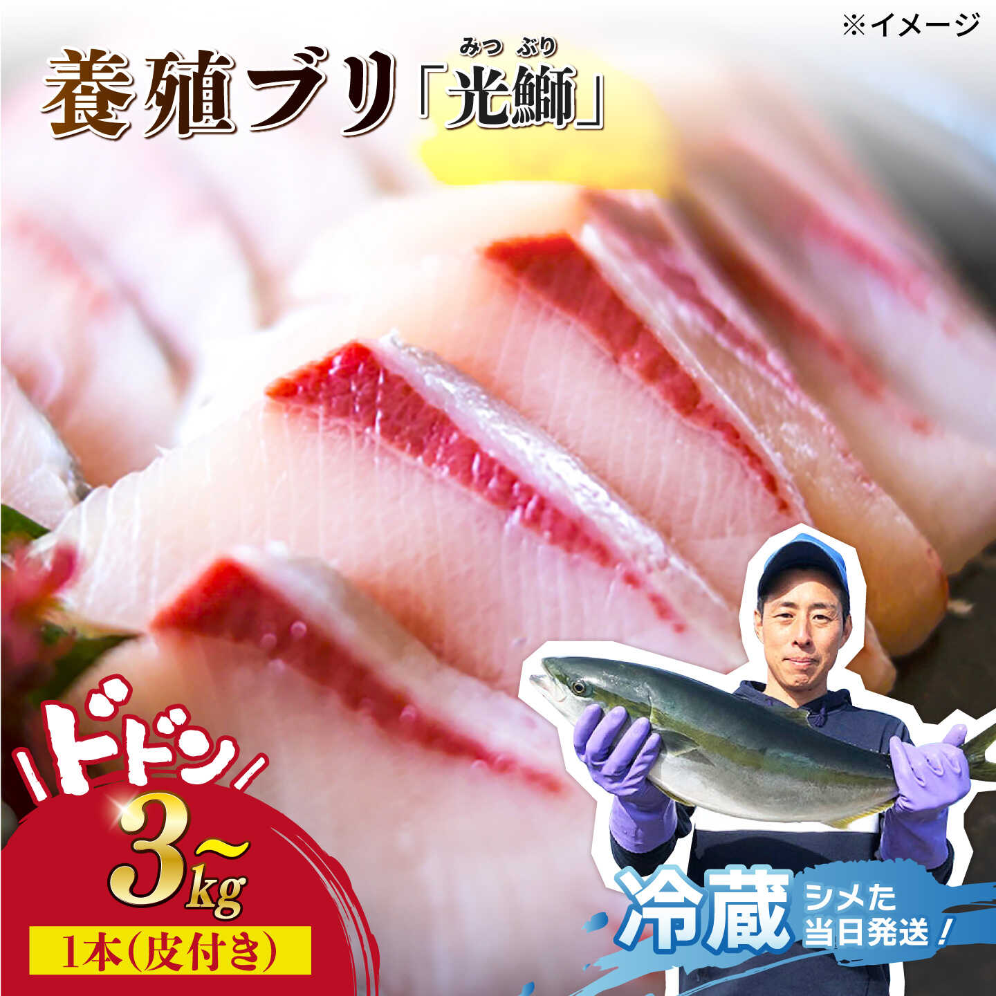 【ふるさと納税】【受付再開】「光鰤」ブリ ブロック 皮付き 約3.0kg〜＜小山水産＞ [CDZ006] 長崎 西海 ブリ ぶり 鰤 鮮魚 新鮮 魚 刺身 ブロック 着日指定 産地直送 冷蔵