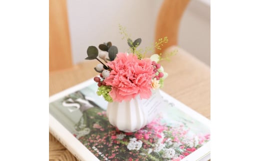 プリザーブドフラワー プリモ（カーネーション ピンク）