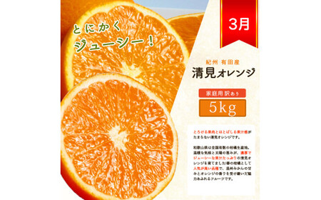 定期便【全3回】ご家庭用柑橘セット みかん 不知火 清見【tkb411】