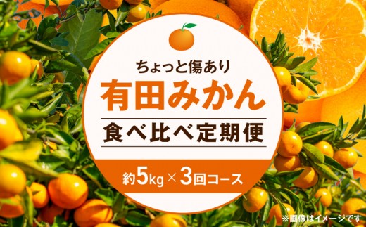 【定期便】(2026年10月発送スタート)【ちょっと傷あり 約5kg × 3回コース】有田みかん・食べくらべ3種【南泰園】_ZF6303n
