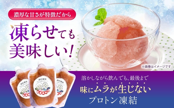 ブドウジュース ジュース ぶどう ブドウ 果実飲料 ストレート ストレートジュース 巨峰 果物 キャンプ アウトドア フローズン