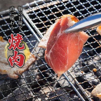 ふるさと納税 松山市 ＜お肉屋さんプレゼンツ＞希少な甘とろ豚の焼肉食べ比べ2種セット |  | 02