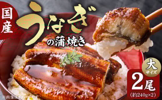 国産うなぎの蒲焼き 大サイズ×2尾 T08106