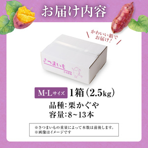 【数量限定】北海道雨竜町産 さつまいも 「栗かぐや」M-Lサイズ 2.5kg 大きめサイズ 産地直送 北海道 国産 おやつ お菓子作り 料理
