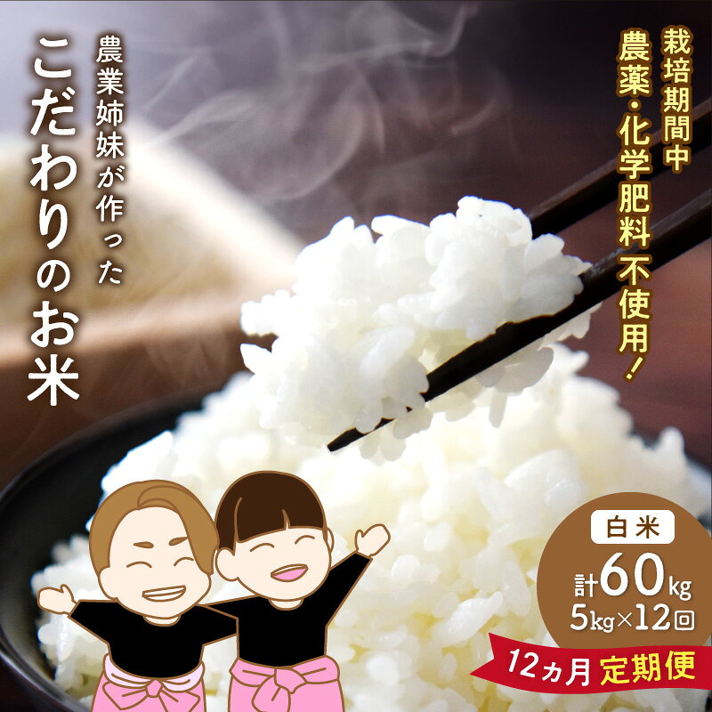 【ふるさと納税】農業姉妹がこだわって栽培！ 大阪府産　泉南市のお米 白米5kg　1年定期便 定期便 米 こめ 5キロ
