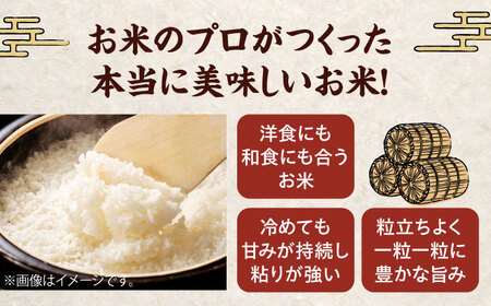 令和6年産新米 お米 ヒノヒカリ 10kg（10kg×1袋）米・食味鑑定士×お米ソムリエ×白米ソムリエ お米 新米 おこめ 白米 ごはん 愛媛県産お米 大洲市/稲工房案山子[AGAV011]