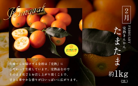 《2026年発送先行予約》【数量・期間限定】青果店厳選！「3ヶ月お届け！くだもの定期便Vol.1」_M153-T021