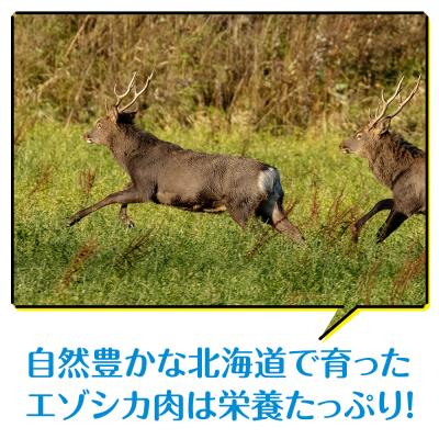 ふるさと納税 浜頓別町 定期便 全4回 お楽しみ 犬 おやつ 無添加 国産 エゾ鹿肉 ジャーキー (150g) ドッグフード |  | 01