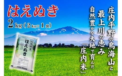 令和7年産【精米】 はえぬき 2kg (2kg×1袋) SI SZ0313