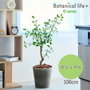 【ふるさと納税】フェイクグリーン Botanical life+ Dシリーズ ガジュマル 100cm 光触媒加工 鉢付き インテリア 抗菌 消臭 愛知県 豊橋市 送料無料 41000円