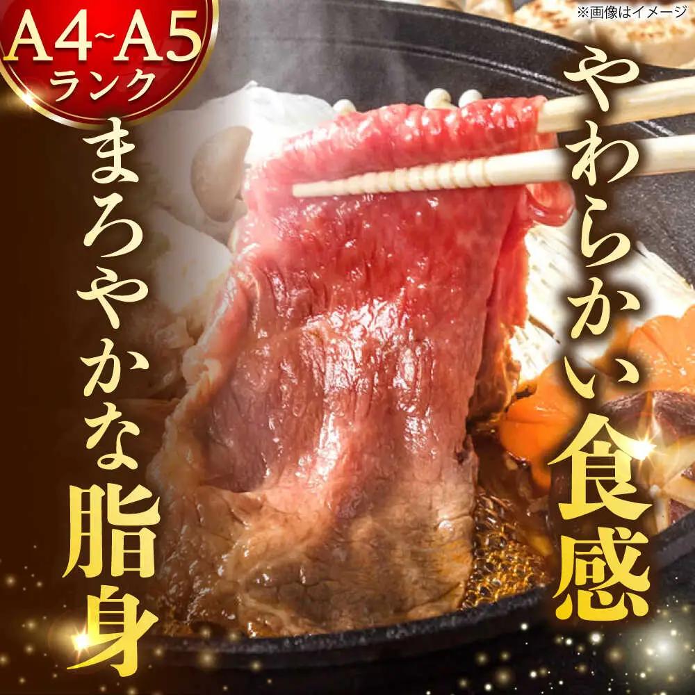 【6回定期便】 A4-A5 長崎和牛 切り落とし (600g×2） [DBS059]