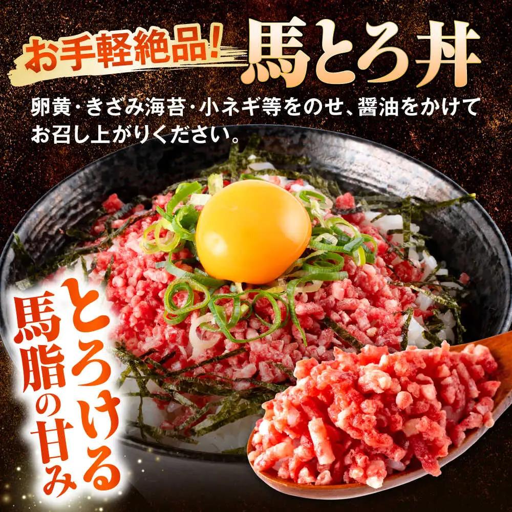 令和8年熊本地震復興支援 馬とろフレーク 約500g 馬とろ[AYBK001]