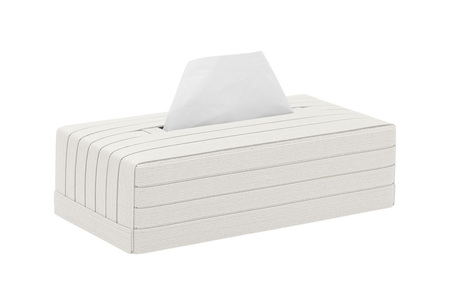 【ふるなび限定】インテリアを楽しむセット ティッシュケース & スマホスタンド ホワイト 岩手県奥州市産 バンドシー Bandc クリネックス エリエール ネピア 対応 for iPhone 16, 