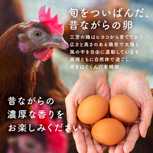 【先行受付 2026年11月上旬～2027年4月下旬発送予定】有精卵　10個×3パック（割れ保証3個含む）農薬・化学肥料を持たない農家の野菜で育てた平飼い鶏 mi0036-0001