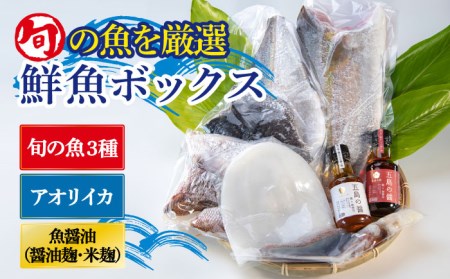 金澤仕立て 鮮魚ボックス（旬の魚3種・アオリイカ・魚醤油2種）五島市/金沢鮮魚 [PEP003]