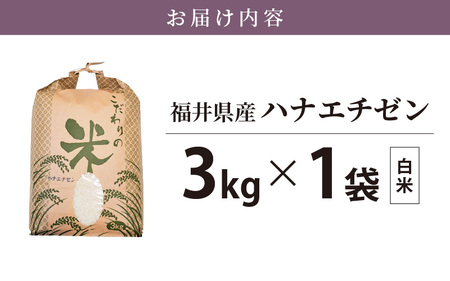 ハナエチゼン 3kg 令和5年 福井県産【白米】【お米 はなえちぜん 華越前 3キロ】 [e30-a055]