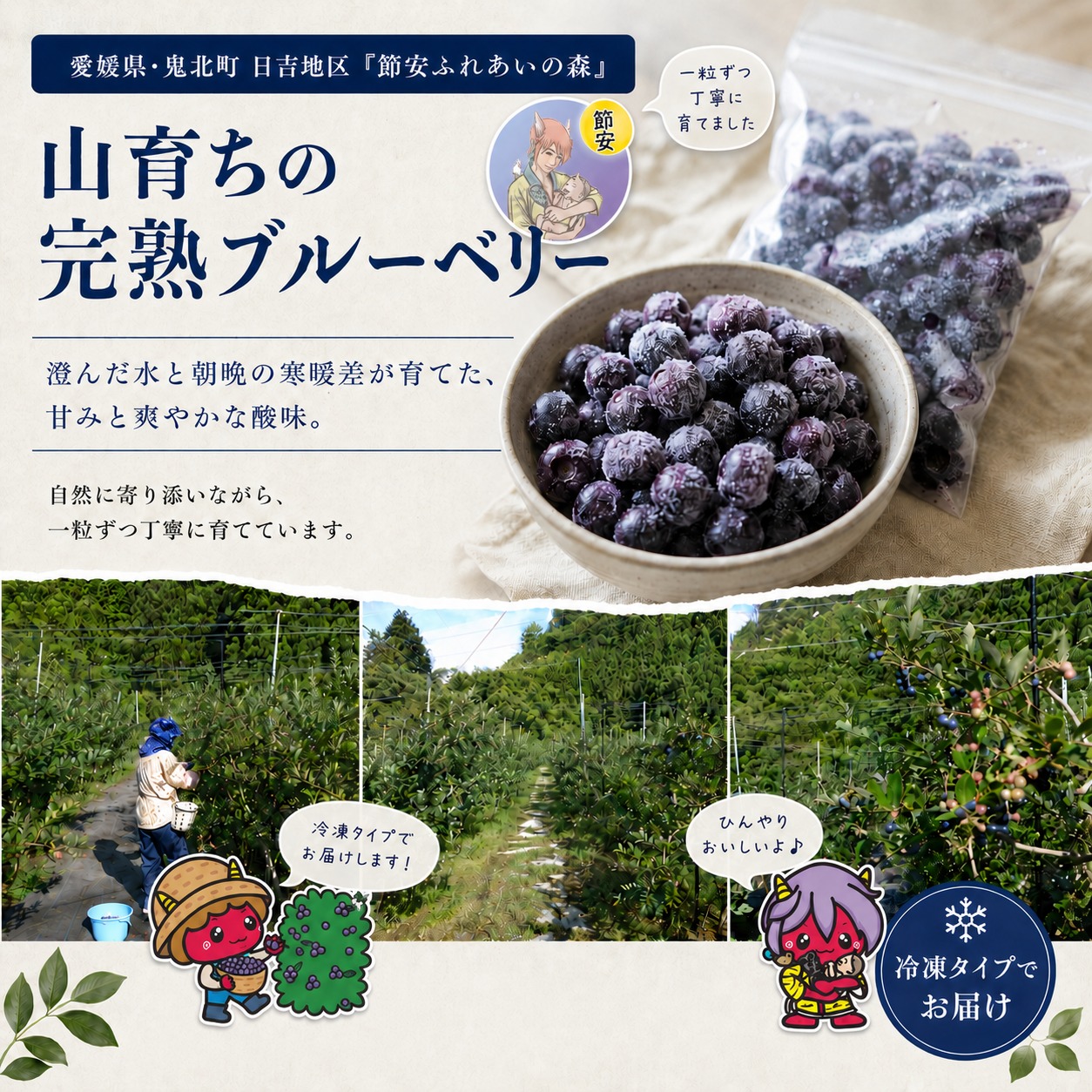 【先行予約】【選別済み大粒】冷凍ブルーベリー900g（150g×6P） | 選別済み 大粒 国産 個包装 小分け 冷凍 鬼北町直営農園 果実 フルーツ 果物 くだもの 朝食 ヨーグルト　鬼北町役場 日