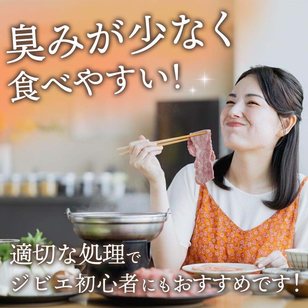脊振ジビエ イノシシ肉バラエティセット 約1.4kg【脊振 ロース ばら 肩ロース ミンチ カレー 鍋 セット】(H059118)