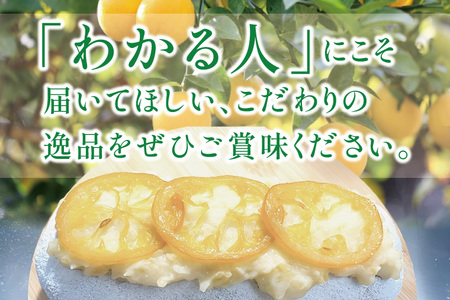 爽やか国産レモンの丸ごとシュトレン～レモンの恵み～【埼玉県　春日部　お菓子　スイーツ　手作り】（DA011）