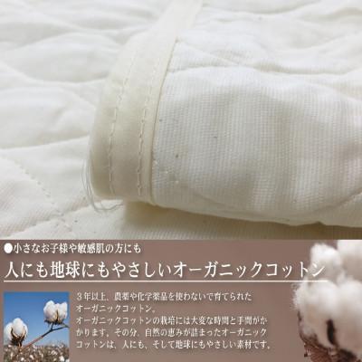 ふるさと納税 泉大津市 【訳あり】オーガニックコットン　無染色　敷パッド+枕パッドセット　シングル　OG-1S+5L |  | 02
