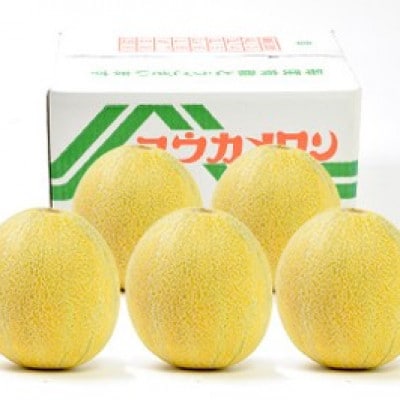 数量限定!こだわり農家さんの希少な優香メロン【5L×1】【配送不可地域：離島・北海道・沖縄県・東北】
