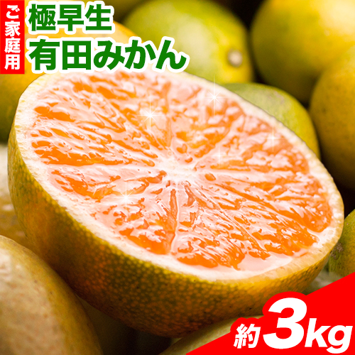 ＜先行予約＞家庭用　極早生有田みかん3kg+90g（傷み補償分）【YN26・ゆら早生】【わけあり・訳あり】
池田鹿蔵農園@日高町（池田農園株式会社）《9月中旬-11月中旬頃出荷》和歌山県 日高町