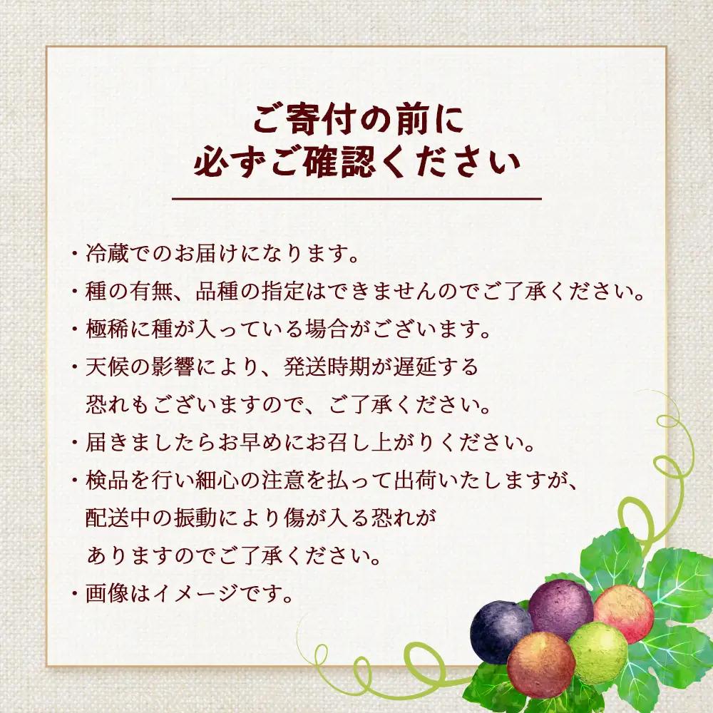 【先行予約・数量限定】2026年7月下旬発送 旬のブドウ味くらべ約2kg (5～6房) TE708｜期間限定 産地直送 旬 ブドウ 葡萄 ぶどう フルーツ 果物 くだもの 果実 食べ比べ 鹿児島県 南