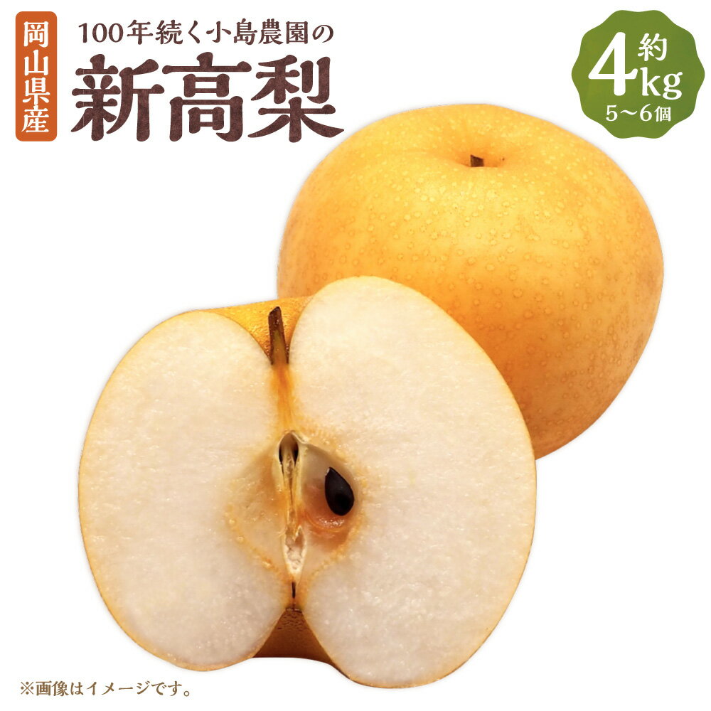 【ふるさと納税】100年続く小島農園の新高梨 約4kg 5個～6個入り 梨 ナシ なし くだもの 果物 果実 フルーツ 岡山県産 国産 岡山県 美咲町 送料無料 【2025年10月上旬から10月下旬頃発送予定】