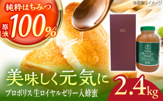 はちみつ コハマのハチミツ プロポリス 生ローヤルゼリー入蜂蜜 2.4kg×1本 農業生産法人株式会社小浜養蜂場 [BCAQ008] 蜂蜜 はちみつ ハチミツ Honey honey ハニー 生ローヤルゼリー ローヤルゼリー プロポリス 純粋はちみつ 国産 ギフト 沖縄県 沖縄市