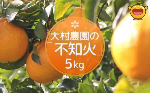 【先行予約】大村農園のみかん 不知火 5kg ミカン 蜜柑 オレンジ 果実 旬のフルーツ 大分県産 九州産 津久見市 国産