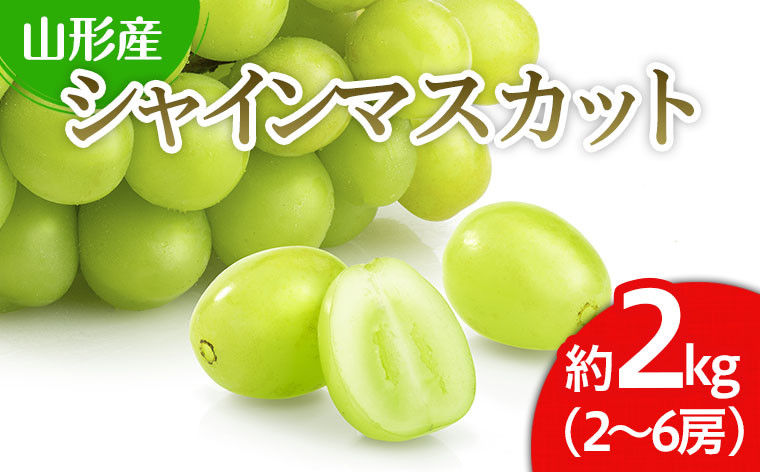 
山形市産 シャインマスカット 秀 約2kg(2～6房) 【令和6年産先行予約】FU22-053
