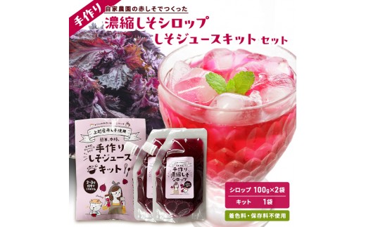 
                  【ふるさと納税】 しそジュース 手作り セット 飲み比べ 濃縮 シロップ 100g 2袋 ジュース キット 詰め合わせ 赤しそ 煮出し 自家製 紫蘇ジュース 紫蘇 赤紫蘇 赤シソ しそ 着色料不使用 保存料不使用 新潟県 上越市 国産
                