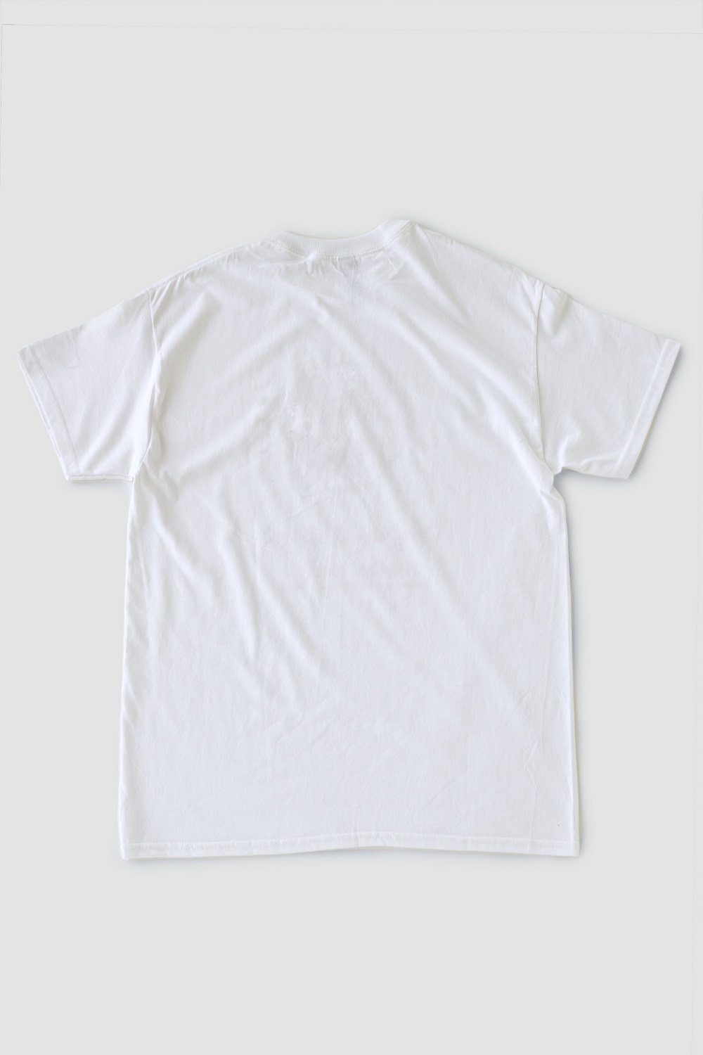 池田の伝統行事「田楽能舞」Tシャツ　【白色　LLサイズ】